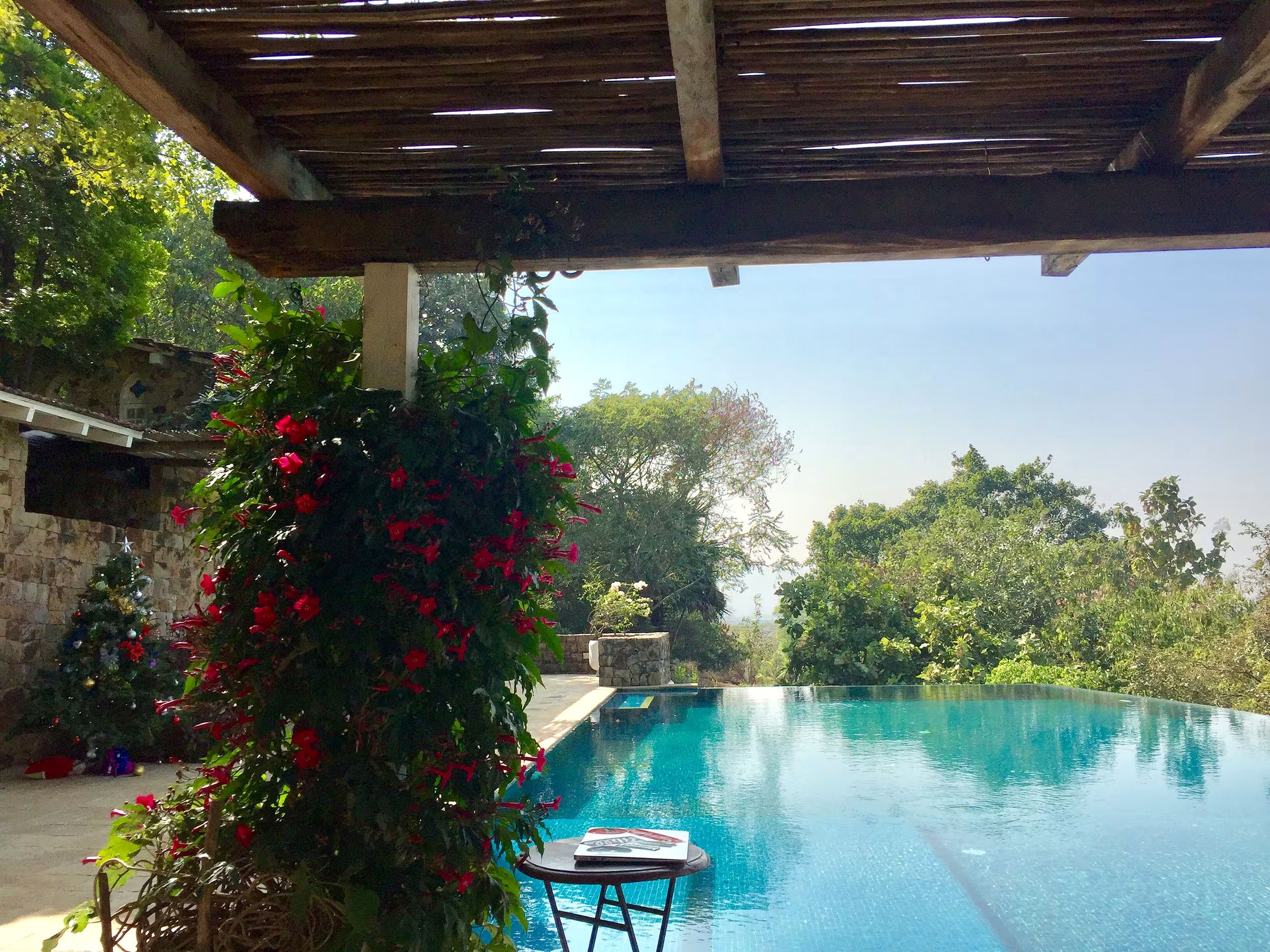 Pool and gardens